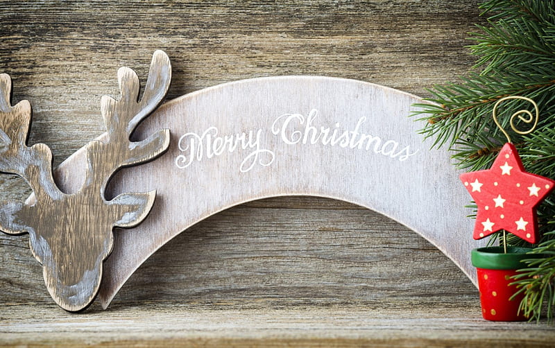 Merry Christmas!, red, deco, craciun, christmas, deer, card, green, white, star, wood, HD wallpaper