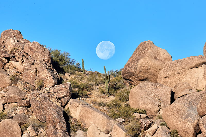 rocks, cacti, moon, landscape, HD wallpaper