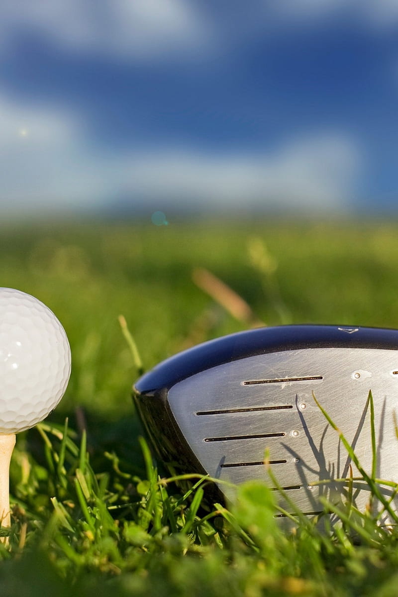 Lawsuit: Woman diagnosed with 'rare' condition after getting hit with golf ball, Funny Golf, HD phone wallpaper