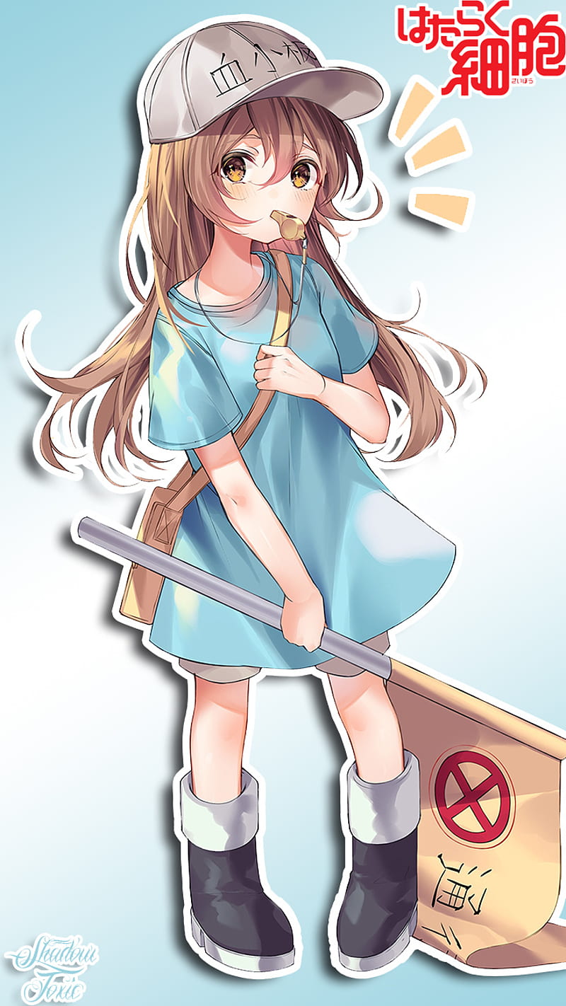 Hataraku saibou, platelet, HD phone wallpaper