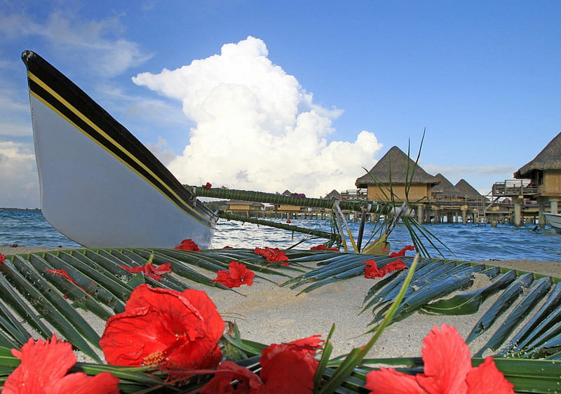 View over Boat and Hibiscus Flowers on Beach in Bora Bora Tahiti Polynesia, polynesia, red, palm leaves, french, hibiscus, palm, sea, beach, bora bora, sand, boat, bungalows, flowers, islands, view, ocean, pacific, society islands, south, water, island, tahiti, villas, HD wallpaper