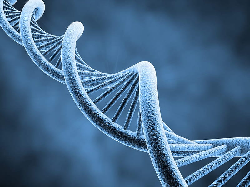 Dark DNA' Is the Latest Mystery in the World of Genetics But What Is It? - The Science of Psychotherapy, HD wallpaper