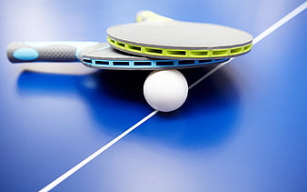 table tennis racket, ping pong table, ping pong, HD wallpaper
