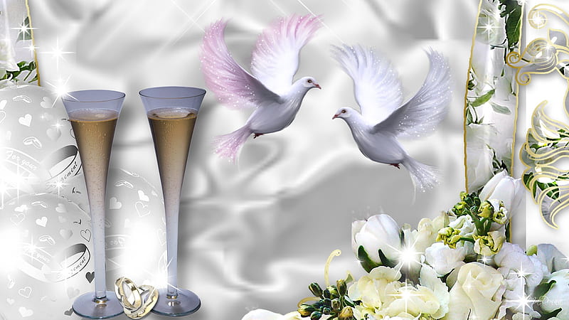 Celebration of Love, bubbly, birds, firefox persona, roses, flowers, wedding rings, dove, white satin, champagne, white, HD wallpaper