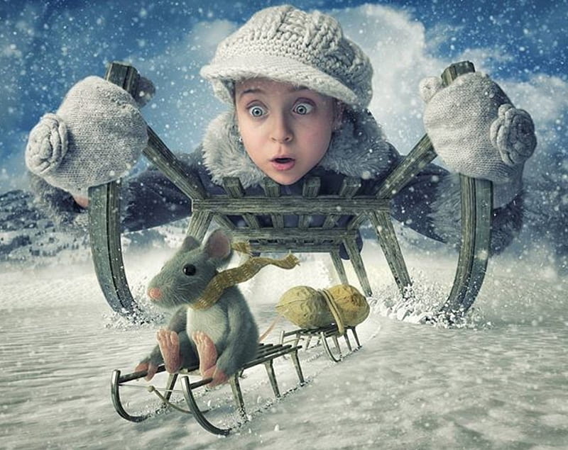 Fantazy world, Boy, snow, mouse, wonter, sledge, HD wallpaper