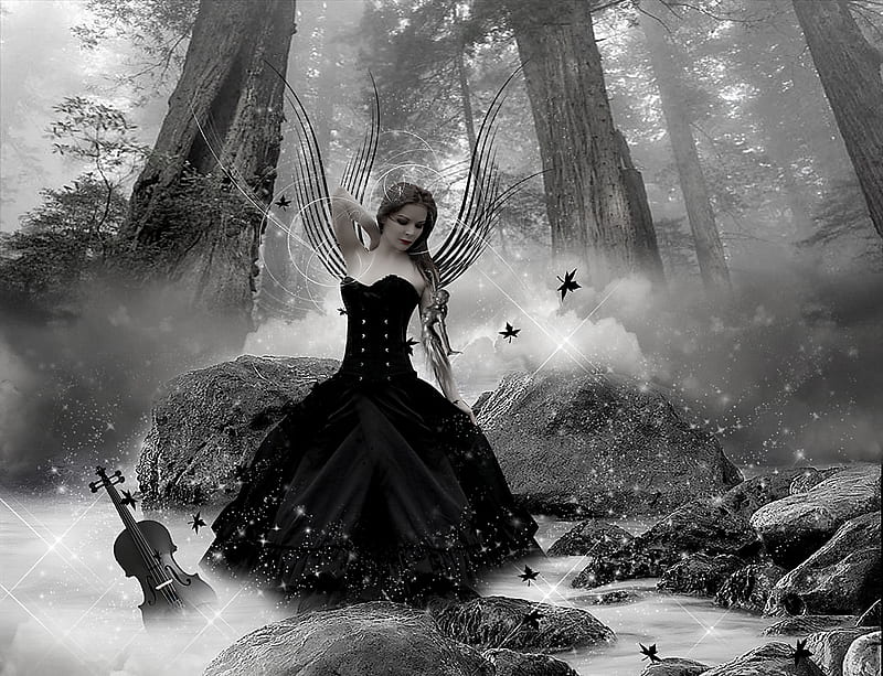 Fairy Dance, forest, violin, dress, black, abstract, leaves, fantasydance, white, fairy, HD wallpaper