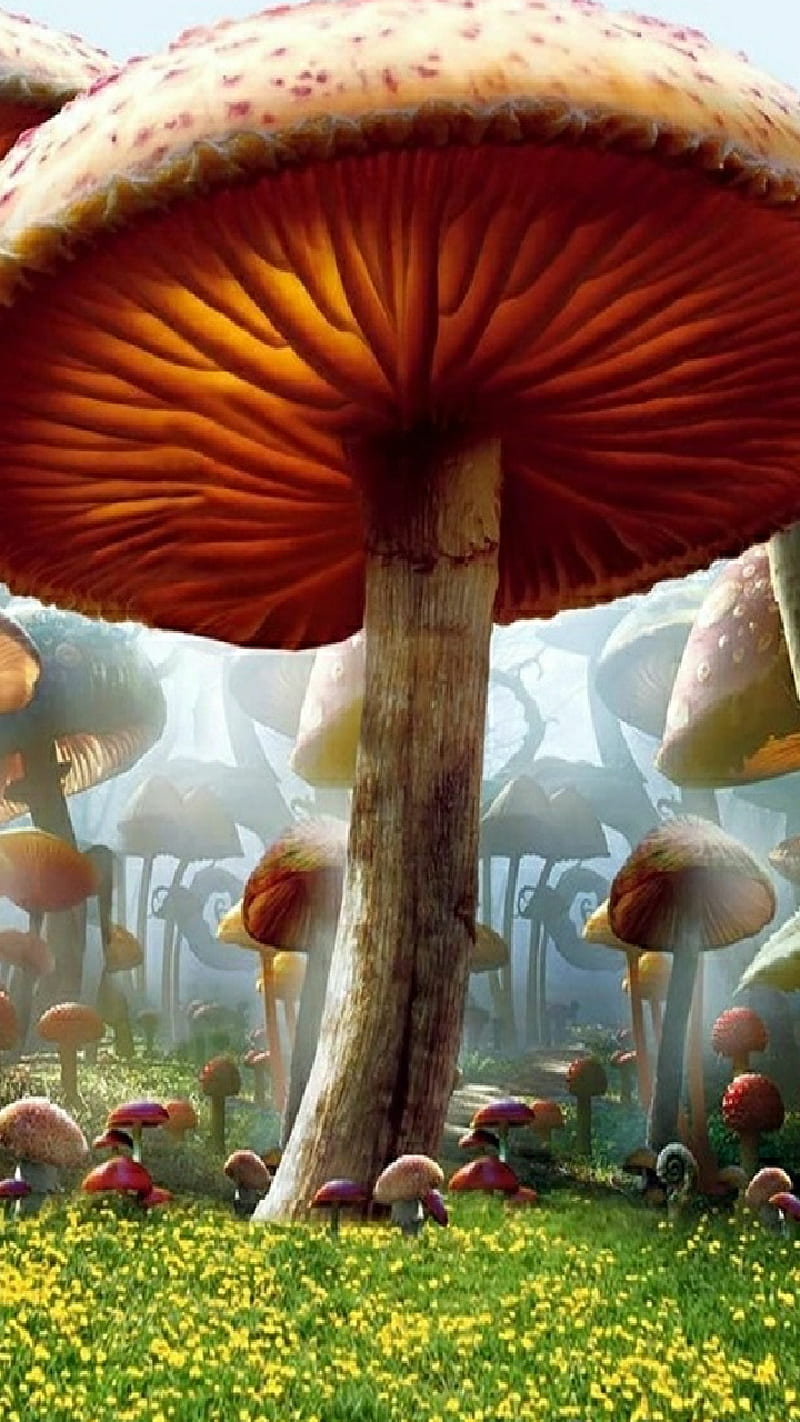 The Biggest Garden, colorful, fantasy, forest, giant, legume, mushroom, HD  phone wallpaper | Peakpx