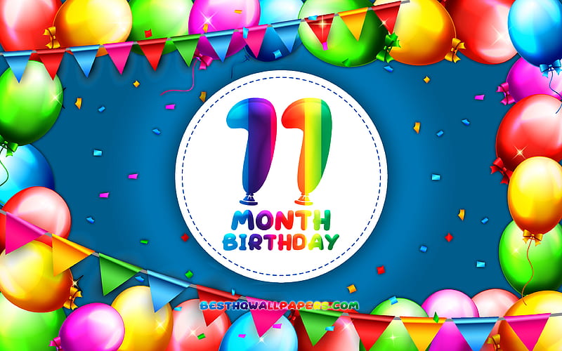 Happy 11th Month birtay colorful balloon frame, 11 month of my boy, blue background, Happy 11 Month Birtay, creative, 11th Month Birtay, Birtay concept, 11 Month Son Birtay, HD wallpaper