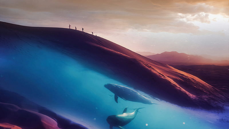 Dolphins In Desert , desert, dolphin, artist, artwork, digital-art, behance, HD wallpaper