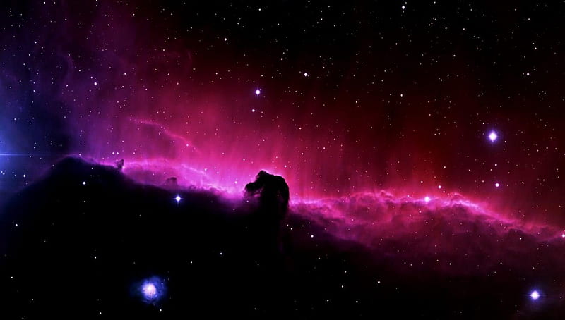 Nebula Horse Head, nebula, horsehead, nebulae, HD wallpaper