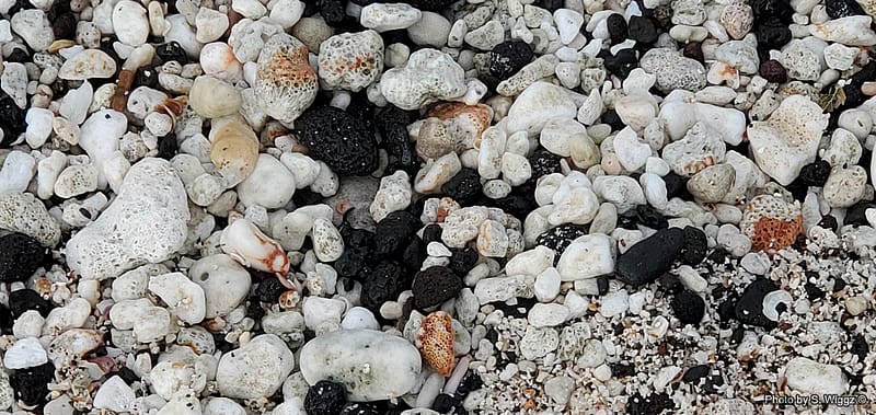 Beach Pebbles, Rocks, Lava, Sand and Shells, Rocks, Sand, Black, Beach, Pebbles, Gray, White, Seashell, Lava, Hawaii, Brown, HD wallpaper