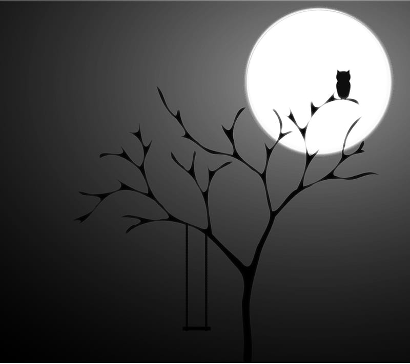 Owl, black, dark, moon, night, tree, HD wallpaper
