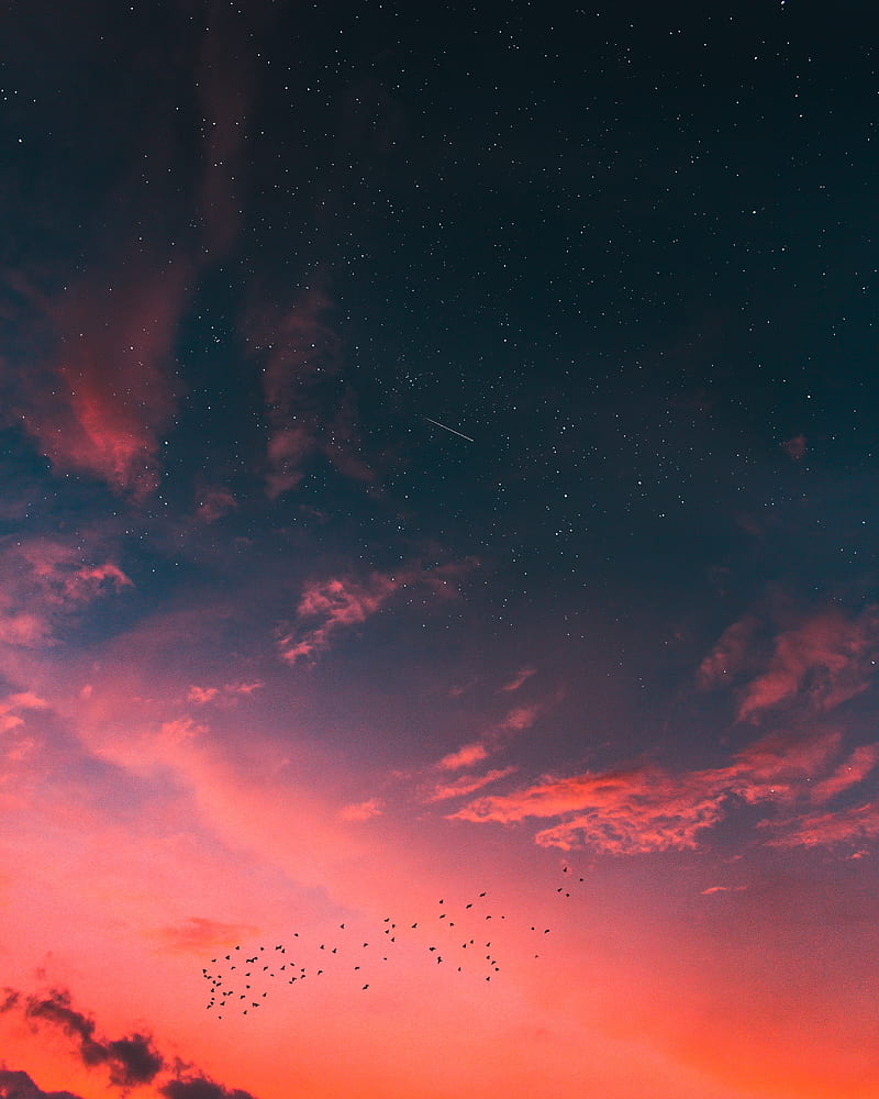 nature, sunset, night sky, shooting stars, purple sky, HD phone wallpaper