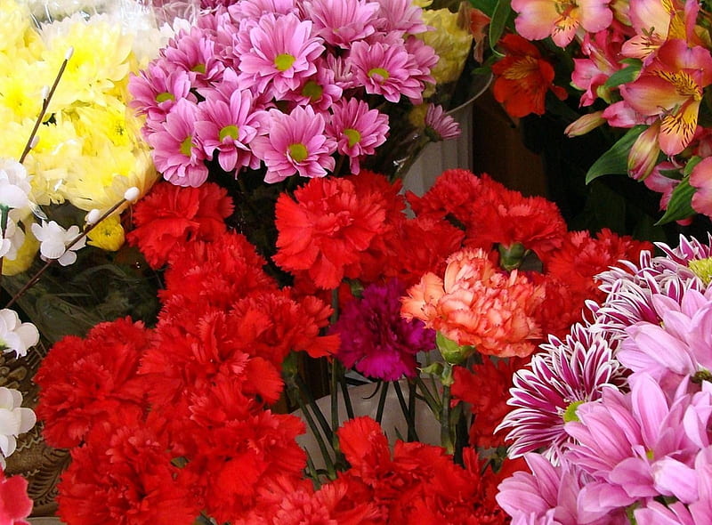 Carnation, alstroemeria ., Love, Red, Flowers, Pink, HD wallpaper