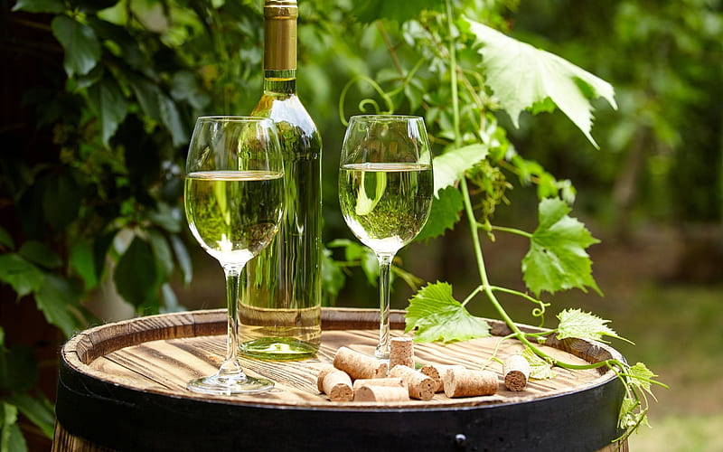 white wine, glasses with wine, grapes, wine, HD wallpaper