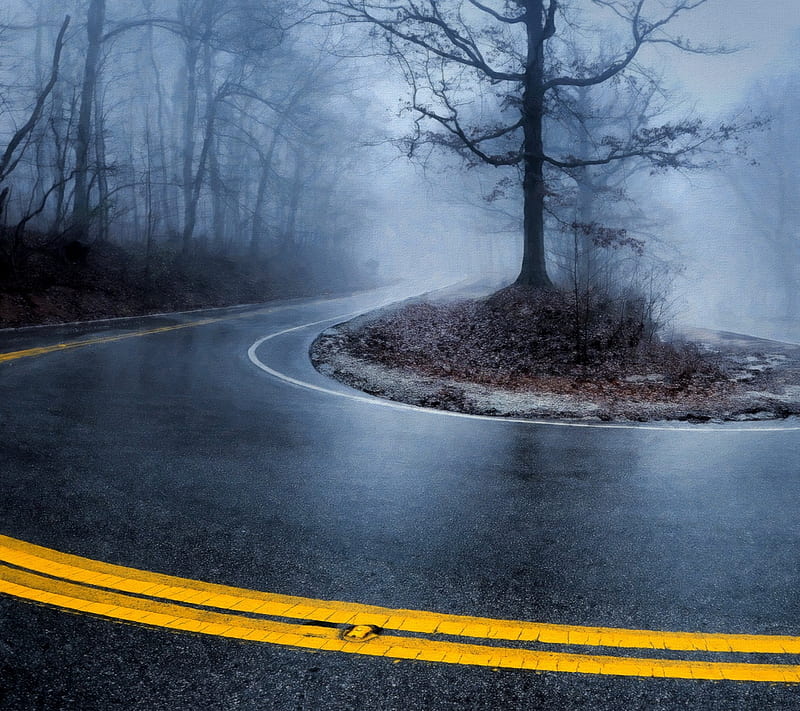 foggy road, cool, fog, landscape, nice, road, way, HD wallpaper