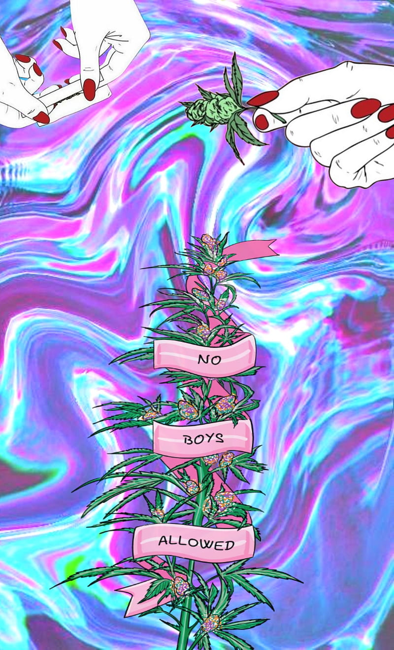 No Boys, 420, cute, girly, stoner, vaporwave, HD phone wallpaper | Peakpx