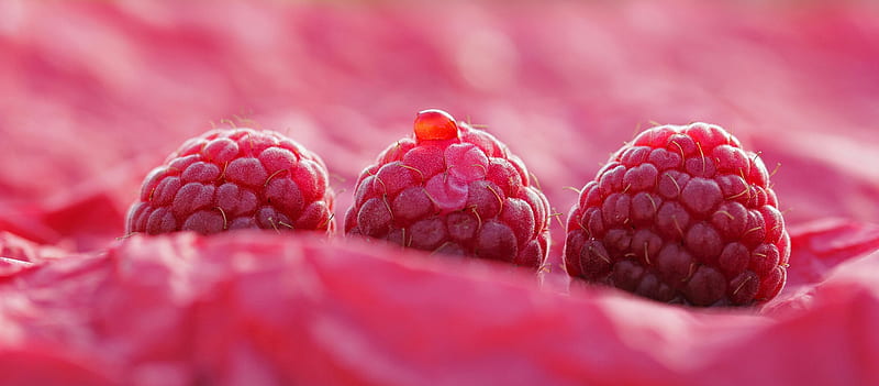 Raspberries, fruit, red, food, raspberry, pink, dessert, sweet, HD wallpaper