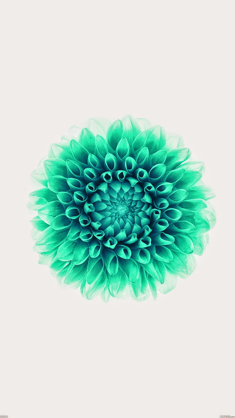 Flower, green, neon, HD phone wallpaper | Peakpx