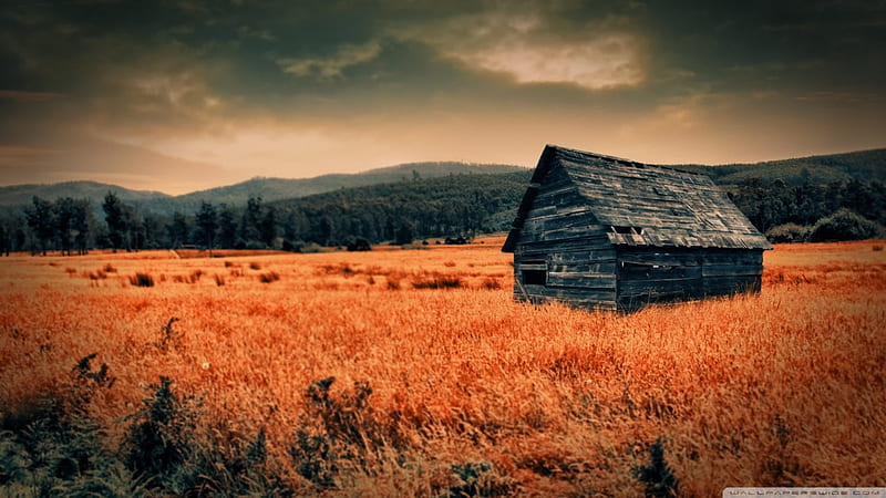 lonely countryside, cabin, abandoned, field, mountains, HD wallpaper