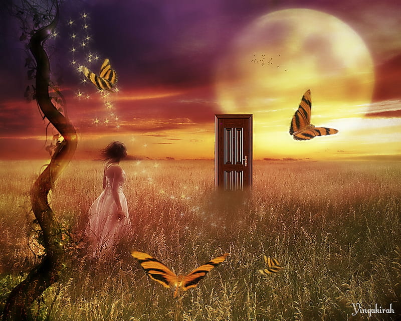 Dream Land Art Fantasy Butterflies Woman Field Hd Wallpaper Peakpx