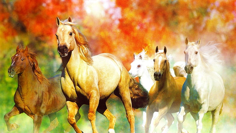 horses galloping, painting, galloping, horses, animals, HD wallpaper