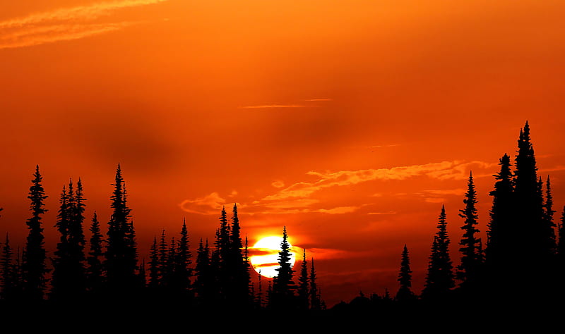 Relaxing Orange Sunset Evening , sunset, nature, HD wallpaper