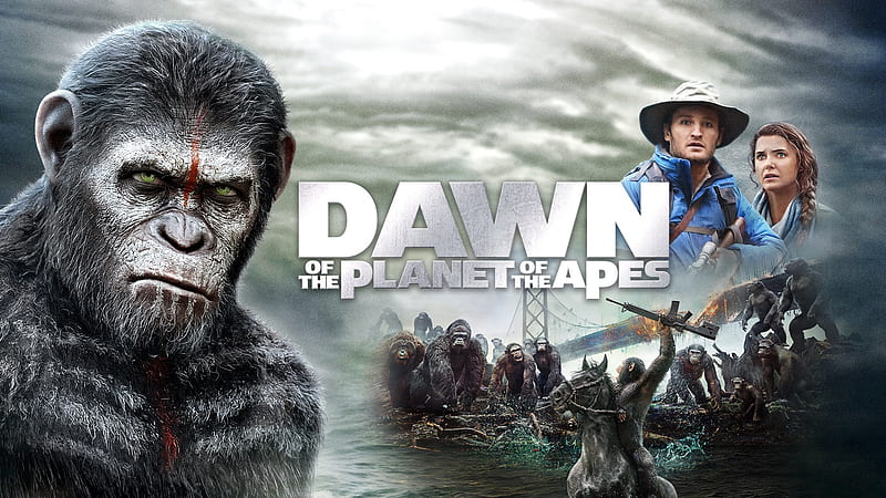 Movie, Dawn of the Planet of the Apes, HD wallpaper | Peakpx