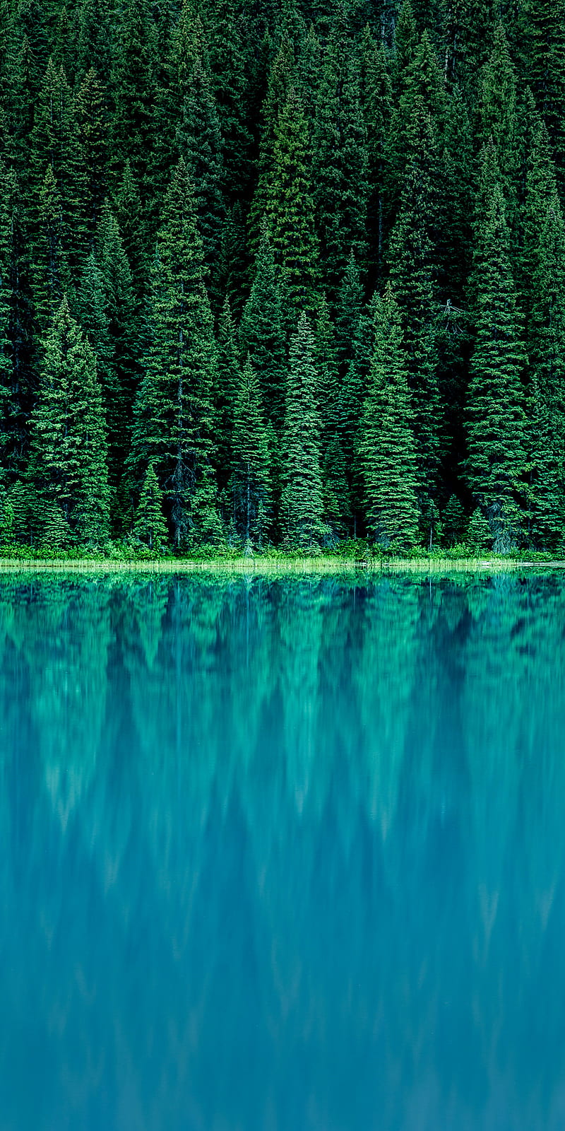 Nature beauty, blue water, earth, forest, green and blue, peace, sunshine, HD phone wallpaper
