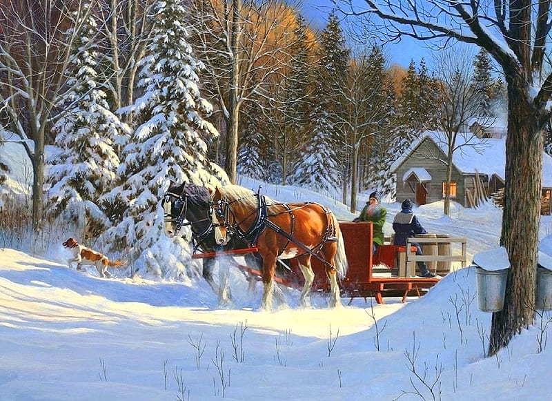 Sugar Shack Horses, sleigh, cottages, holidays, love four seasons, attractions in dreams, xmas and new year, horses, winter, paintings, snow, winter holidays, HD wallpaper