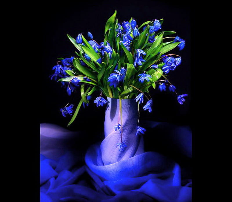 BLUEbells, flowers, vase, green leaves, blue, HD wallpaper | Peakpx