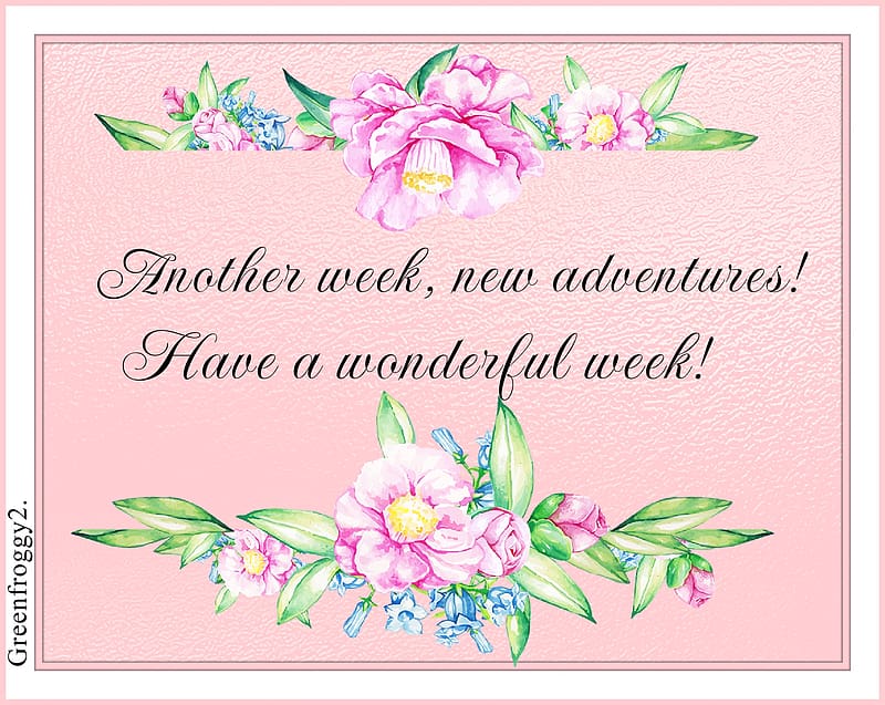 WONDERFUL WEEK, COMMENT, WEEK, CARD, WONDERFUL, HD wallpaper | Peakpx