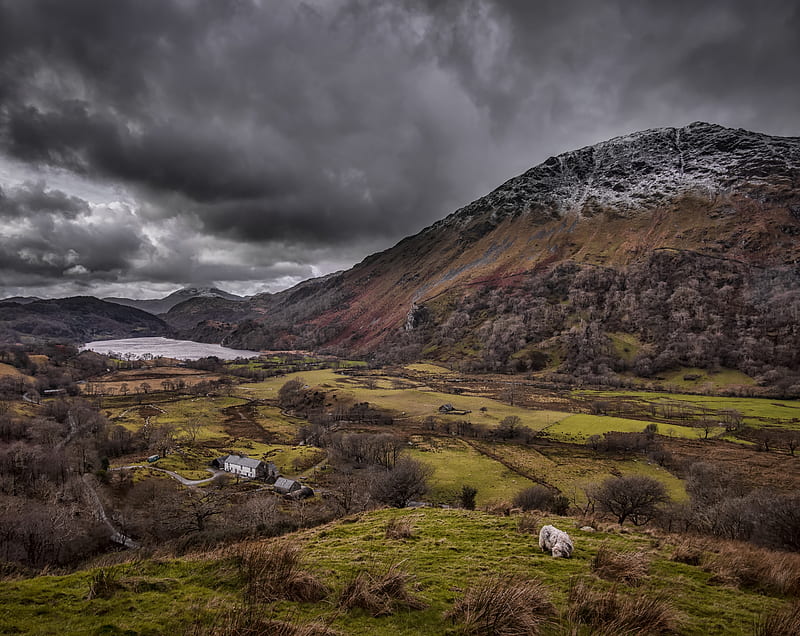 Beautiful Scottish countryside in the Highlands Ultra, Europe, United Kingdom, Nature, Landscape, Scenery, Scene, Cloudy, Sheep, samsung, Overcast, wales, logger, rainclouds, LlynGwynant, greyclouds, HD wallpaper