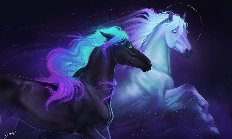 Fantasy Unicorn Fantasy Animals Wallpaper  Fantasy horses Unicorn  wallpaper Horses