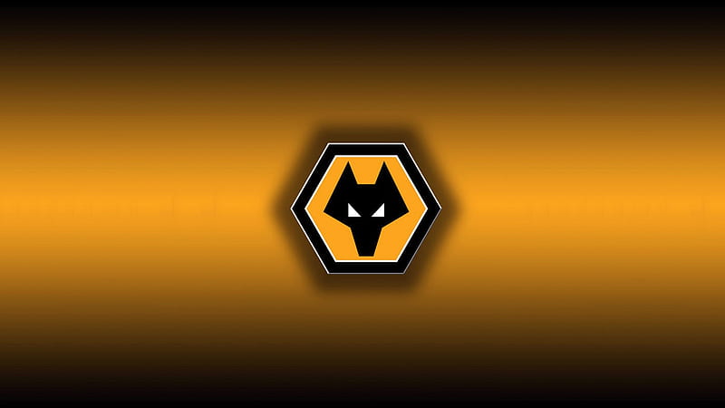 Wolves FC, fc, the wolves, molineux, english, out of darkness cometh light, football, wwfc, soccer, england, wolves football club, wolverhampton wanderers football club, gold and black screensaver, fwaw, wolverhampton wanderers fc, wolverhampton, wolf, wolves, wanderers, HD wallpaper