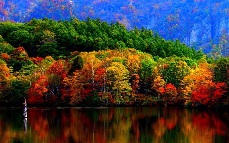 AUTUMN LAKE, hills, forest, autumn, redflections, lake, HD wallpaper ...