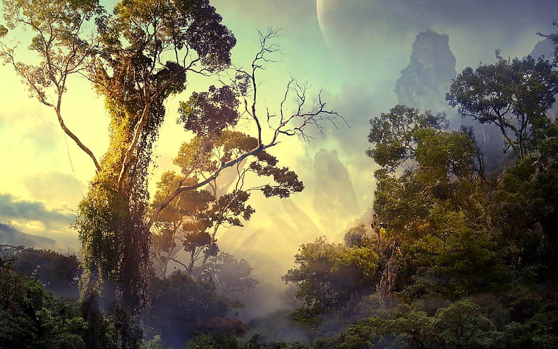 imagine trees planet-Natural scenery, HD wallpaper