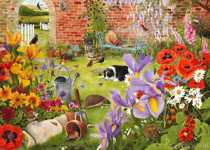 Secret Garden, flower, border collie, tracy hall, vara, caine, dog, art, summer, painting, pictura, HD wallpaper