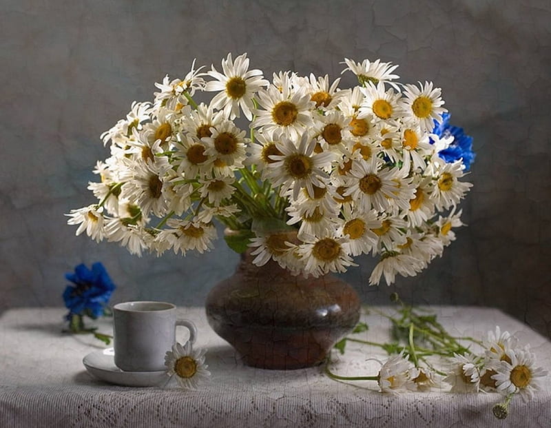 daiseies tea time, daisies, tea time, still life, flowers, HD wallpaper