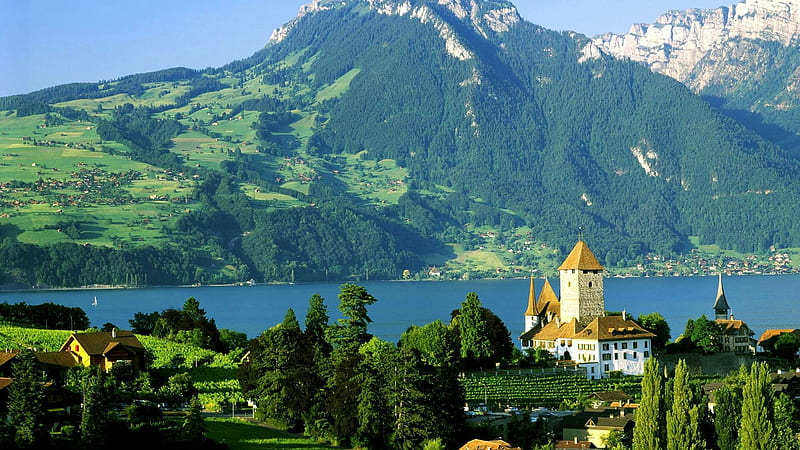 Castle Spiez At The Lake Thun, Switzerland, mountains, nature, trees, castle, switzerland, lake, HD wallpaper