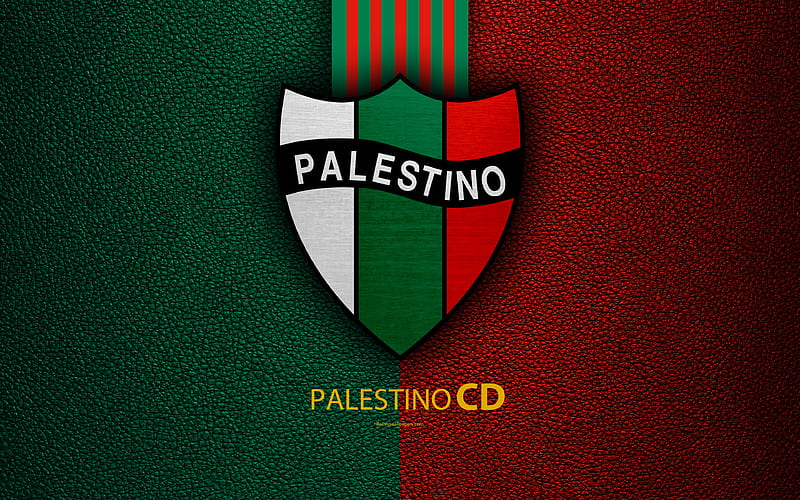 Club Deportivo Palestino logo, leather texture, Chilean football club,  emblem, HD wallpaper | Peakpx