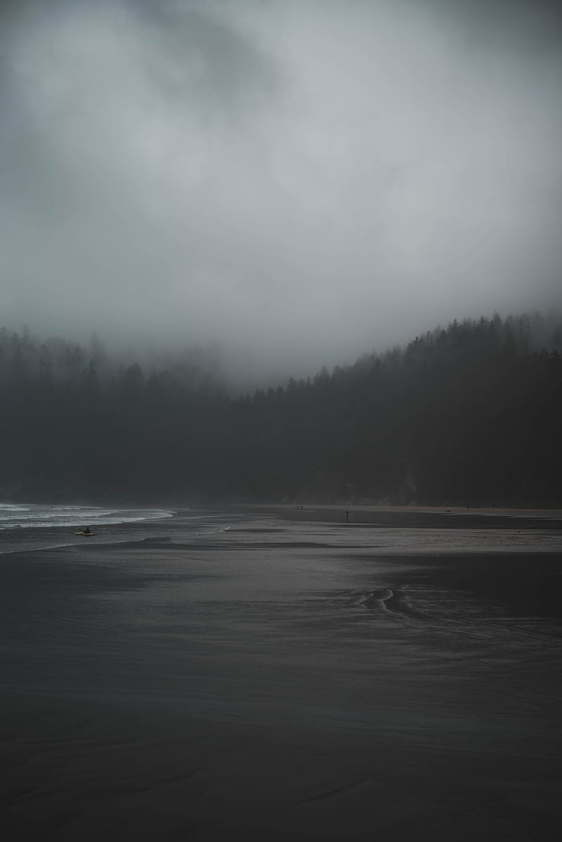 fog, river, trees, gloomy, HD phone wallpaper