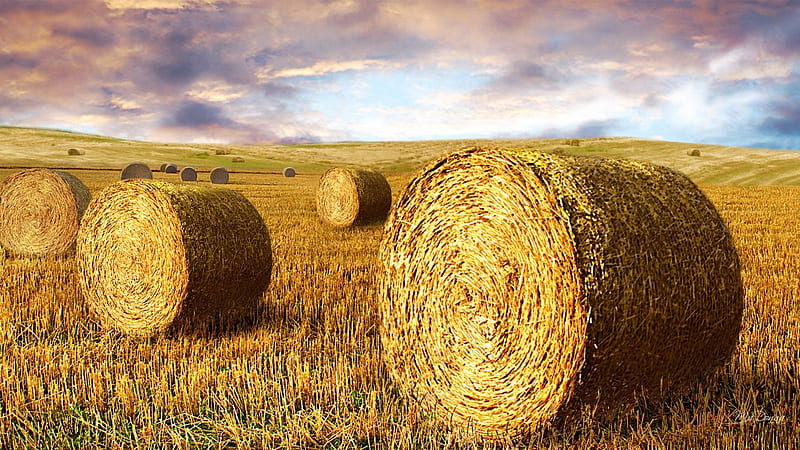 Making Hay, fall, autumn, harvest, grass, country, hay, sky, clouds, agriculture, farm, summer, bales, field, HD wallpaper