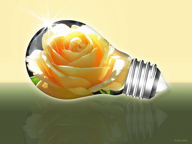 Light Bulb With Rose , rose, light bulb, 3d and cg, flower, yellow rose, abstract, light, HD wallpaper