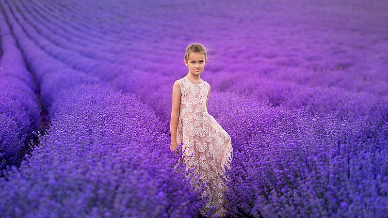 Cute Girl In Lavender Field, HD wallpaper