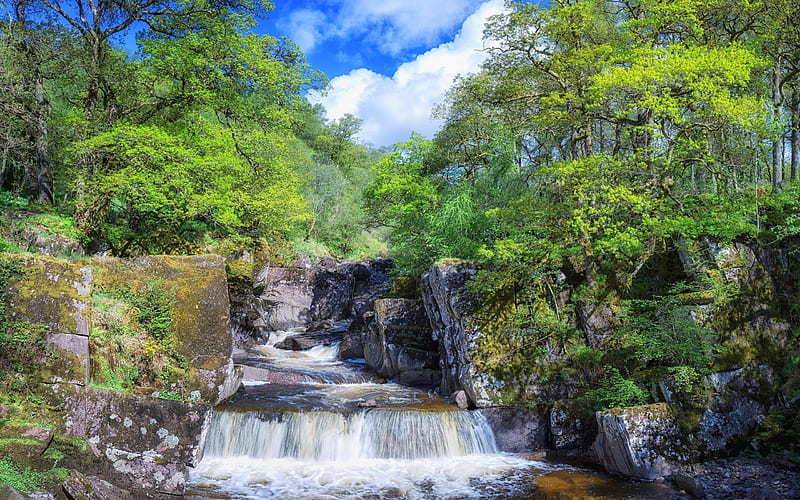 waterfalls, forest, rock, Trossachs National Park, Scotland, HD wallpaper