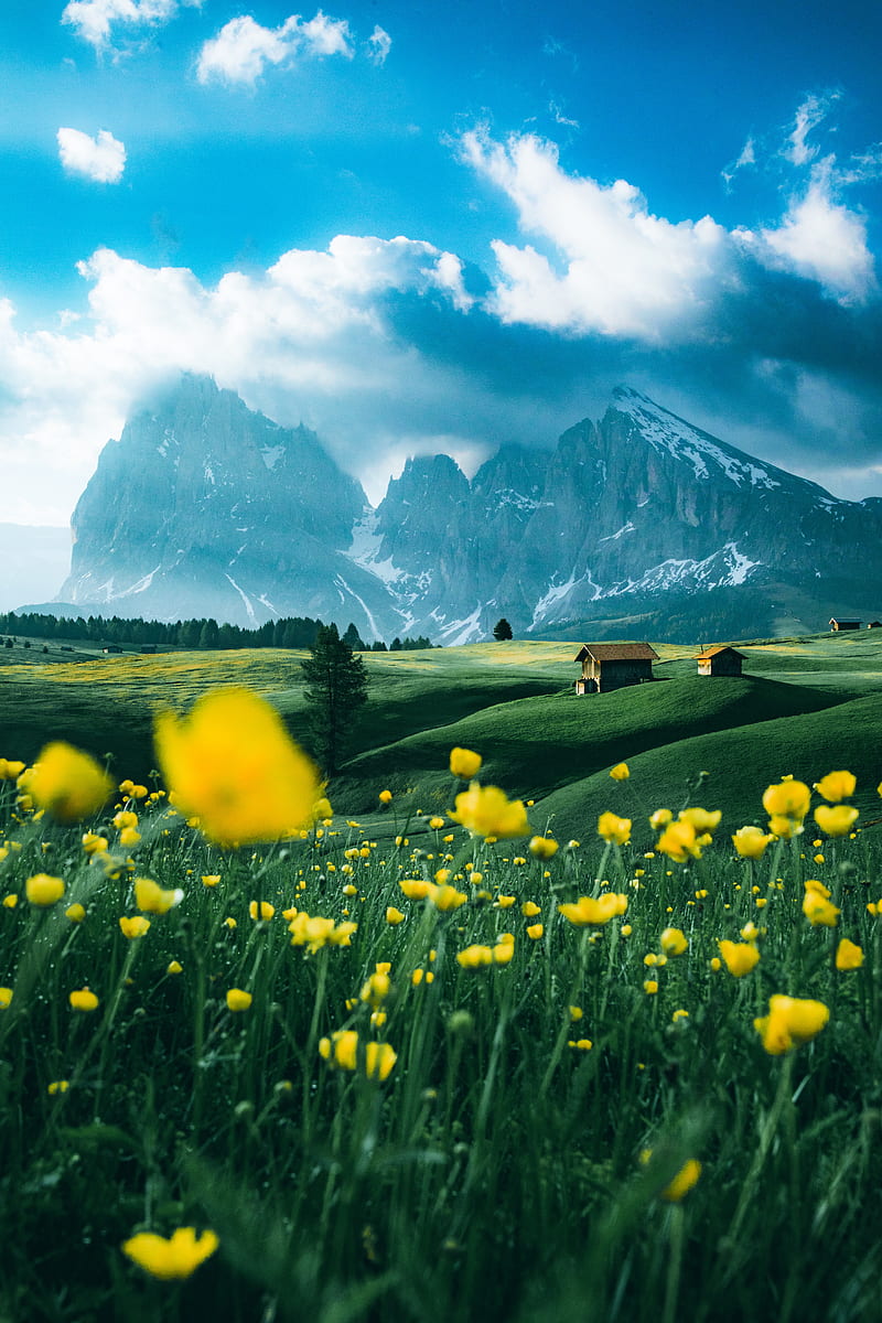 mountains, vast, field, flowers, structure, HD phone wallpaper