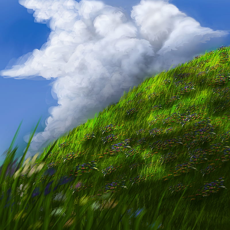 slope, grass, flowers, sky, art, HD phone wallpaper