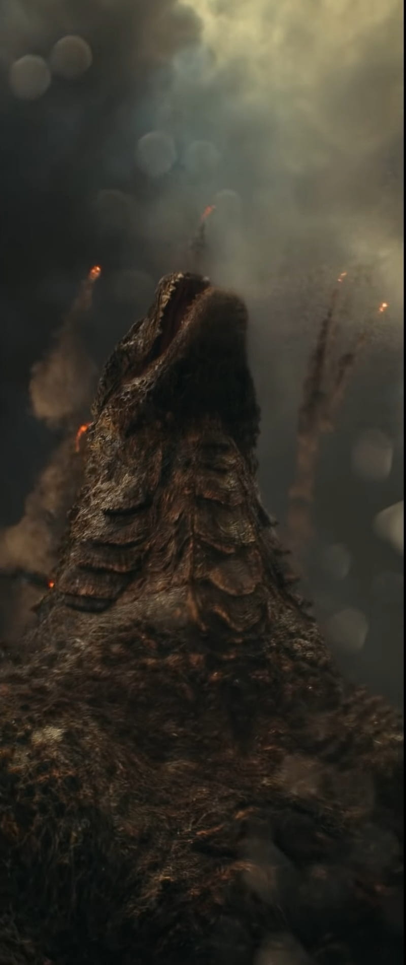 Godzilla , godzilla vs kong, king of monsters, HD phone wallpaper