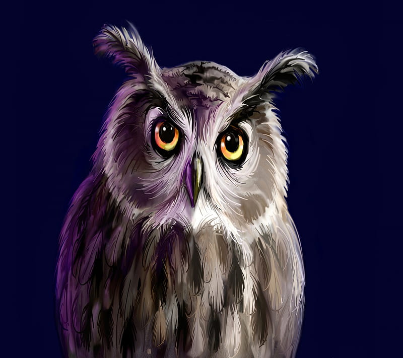 Owl, HD wallpaper | Peakpx